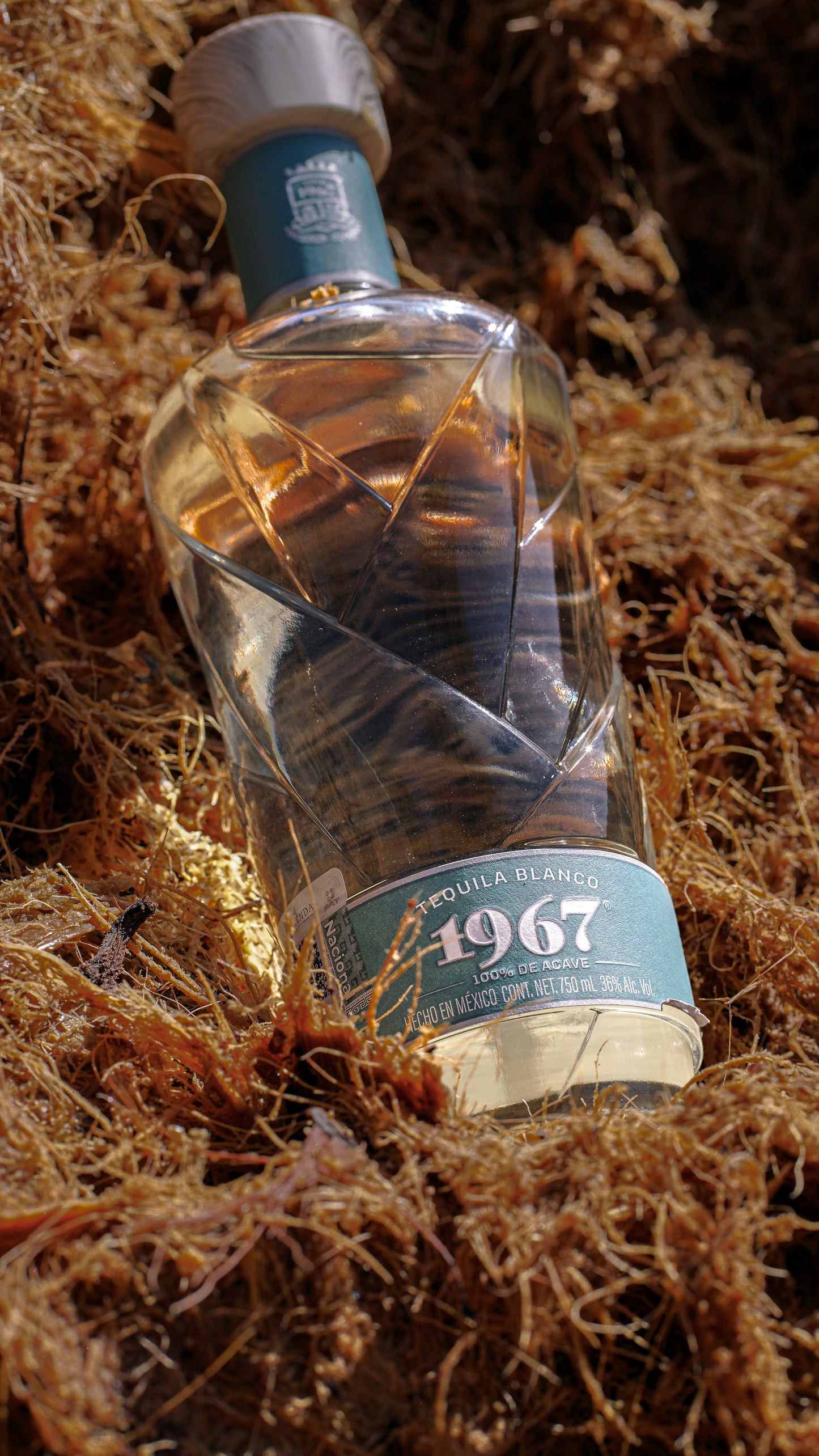 Tequila 1967
