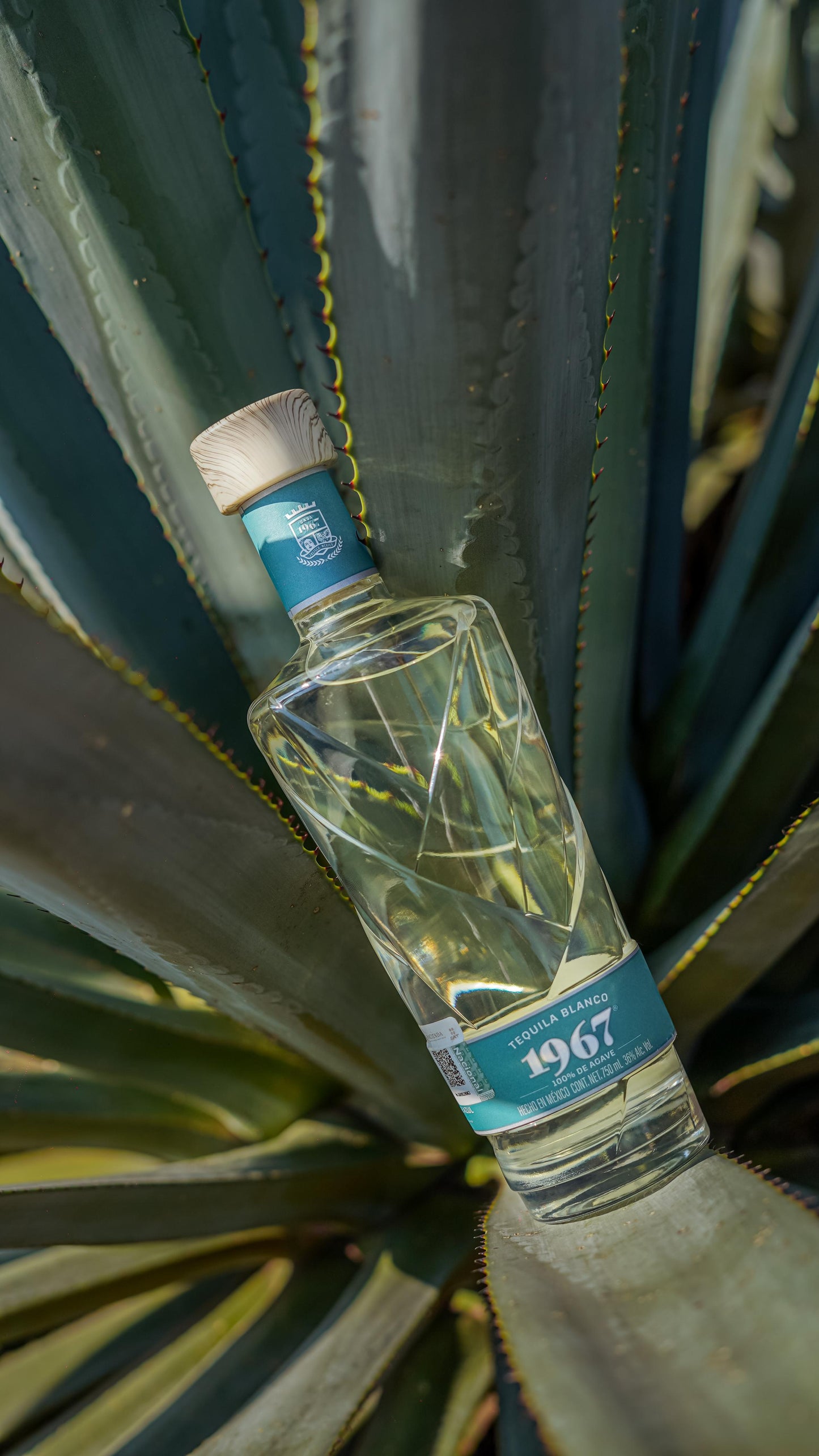 Tequila 1967
